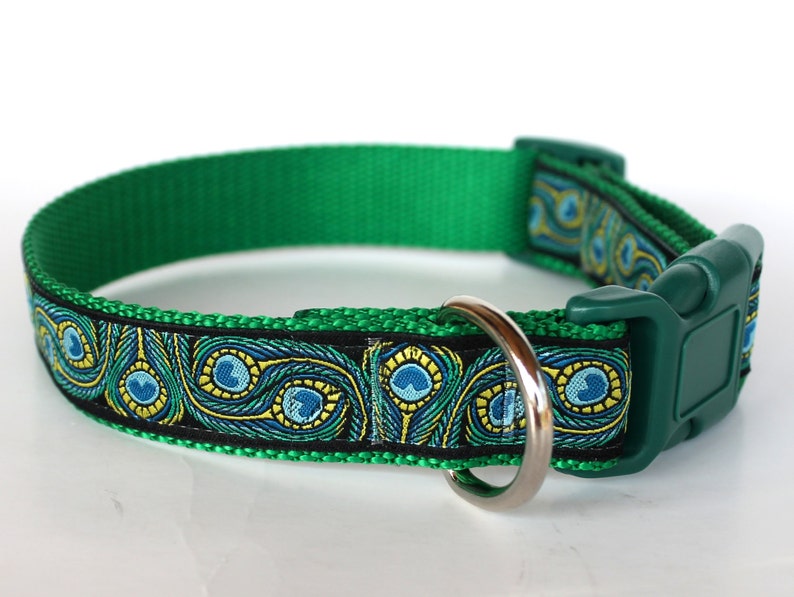 Peacock Feathers Dog Collar 1 Inch Width Big Dog Collar Etsy