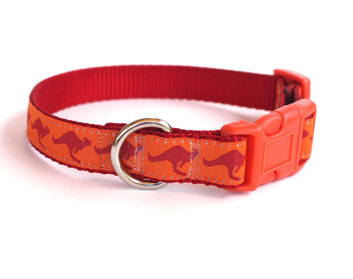 Kangaroo Dog Collar Australia Theme Pet Collar Ribbon Etsy