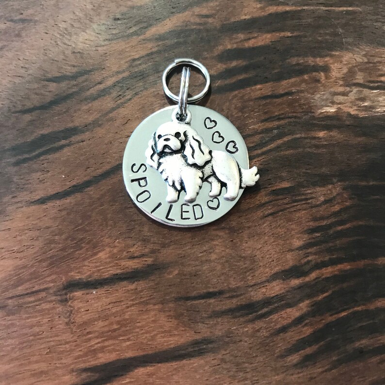 King Charles Cavalier Metal Stamped Medium Dog Spoiled Cav Small Dog Tag Steel Tag Light Weight tag Pet Tag Spoiled