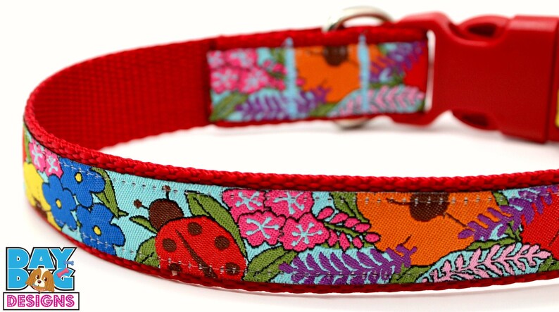 ladybug dog collar