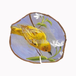 Look Here Yellow Warbler