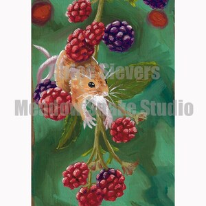 Blackberry Bandit