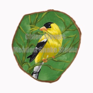 The Collecting Goldfinch