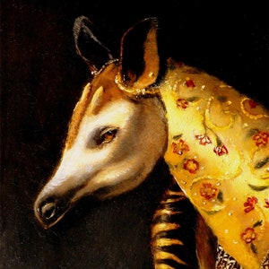 Okapi Art Print