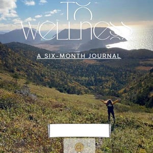 May include: Image of a journal cover with the text "MY JOURNEY TO WELLNESS" and "A SIX-MONTH JOURNAL" against a scenic mountain landscape. A person stands with arms outstretched. The sky is blue with clouds.