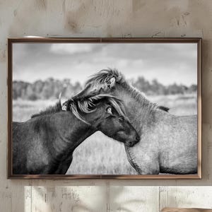 May include: Black and white framed print featuring two horses in a field. One horse nuzzles the other, their manes intertwined. The artwork is displayed in a brown wooden frame, adding a rustic touch to the scene.