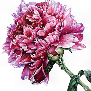 Pink Peony Original Watercolor Painting Botanical Art Wall Decor Realistic Hand Painted Flower Gift for Her Garden Floral Painting Nature