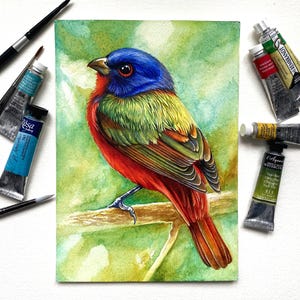 Originale e vivace dipinto ad acquerello di gagliardetti, decorazione da parete per la casa, dipinto a mano, regalo per gli amanti degli uccelli, piccola illustrazione di fauna selvatica.