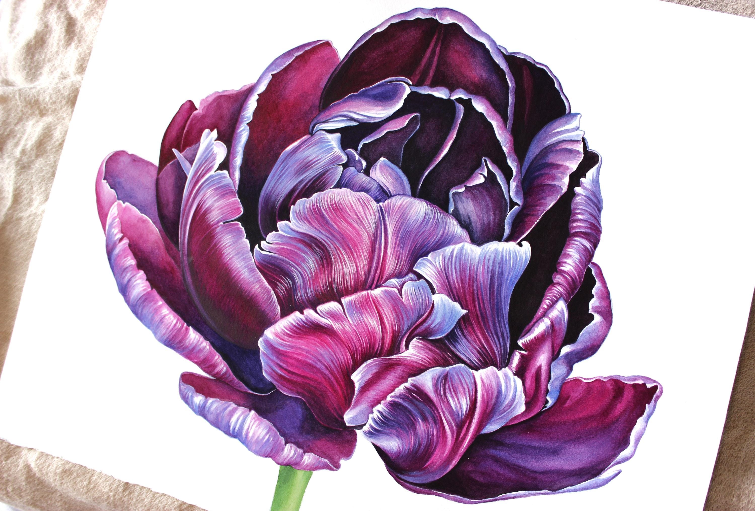 紫のチューリップのオリジナル水彩画 植物アート リアルな手描きの花の