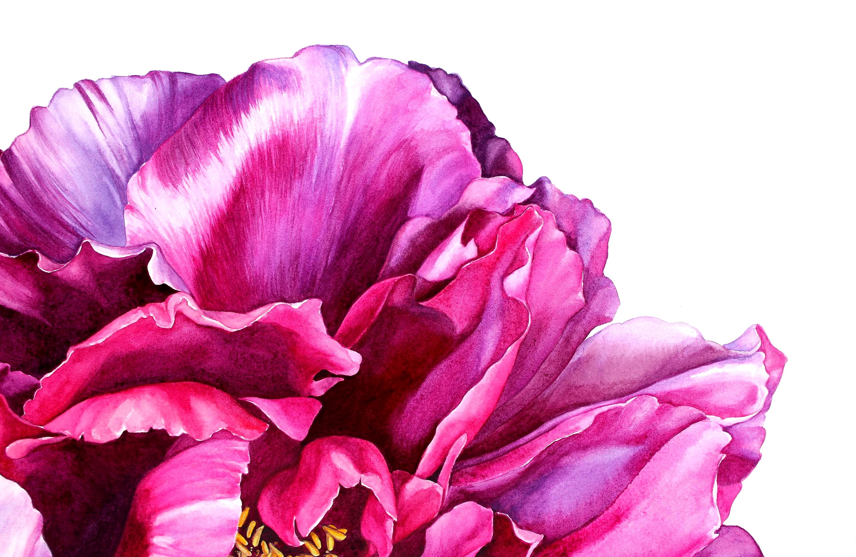 Original Watercolor Pink Peony Painting Large Botanical Art Romantic ...