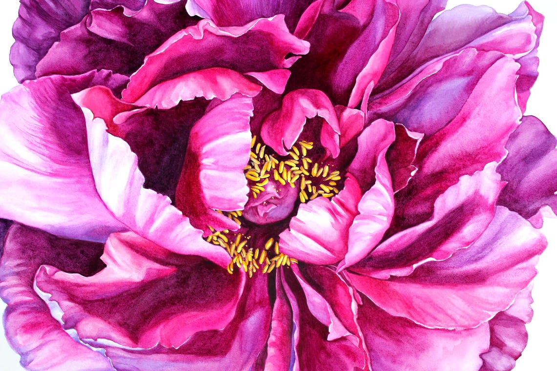 Original Watercolor Pink Peony Painting Large Botanical Art Romantic ...