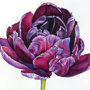 Lila Tulpe Original Aquarell Gemälde Botanische Kunst Realistische Wanddekoration Handgemalte Blumen Geschenk für Ihren Garten Blumenmalerei Natur