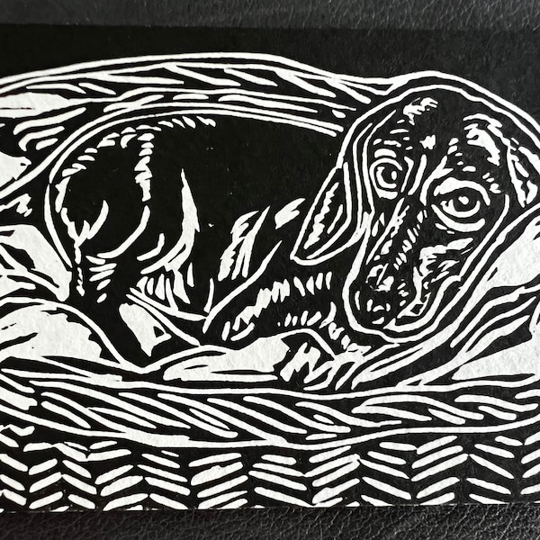Dachshund in a Basket Limited Edition Last One Art Print ACEO 2.5" x 3.5" Canine Dog Pet