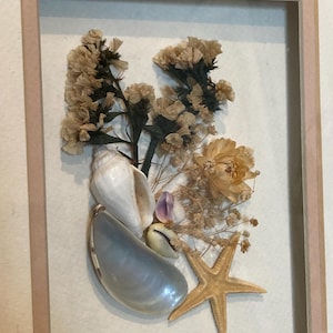 Vintage Seashell Shadowbox