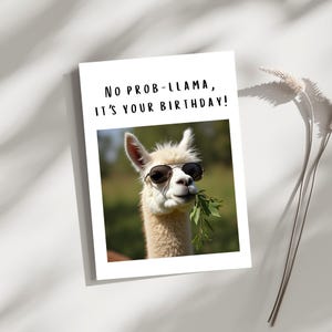 Carte de voeux faite main, carte d'anniversaire vierge à l'intérieur, carte d'anniversaire avec message amusant, carte animal humoristique amusante, « No Prob-Llama, it's your birthday »