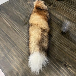 Wild Red Fox Tail