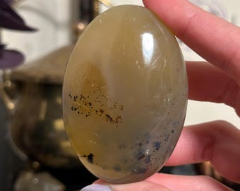 Dendritic Agate Palm Stone 2.84in | Madagascar