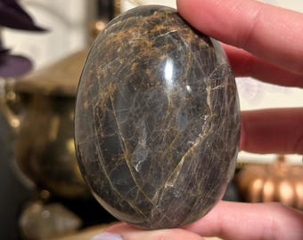 Black Moonstone Palm Stone with Rainbows 2.80in | Madagascar