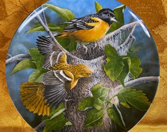 Birds of Your Garden Plates - Kevin Daniel - the Cardinal, the
