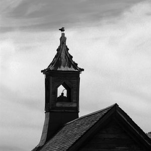 Holy Crow  Bodie California