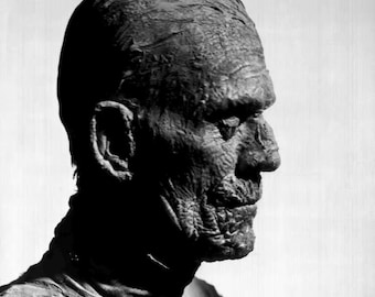 Global Monsters Series: Mummy Head Bust – Highly Detailed Collectible Statue