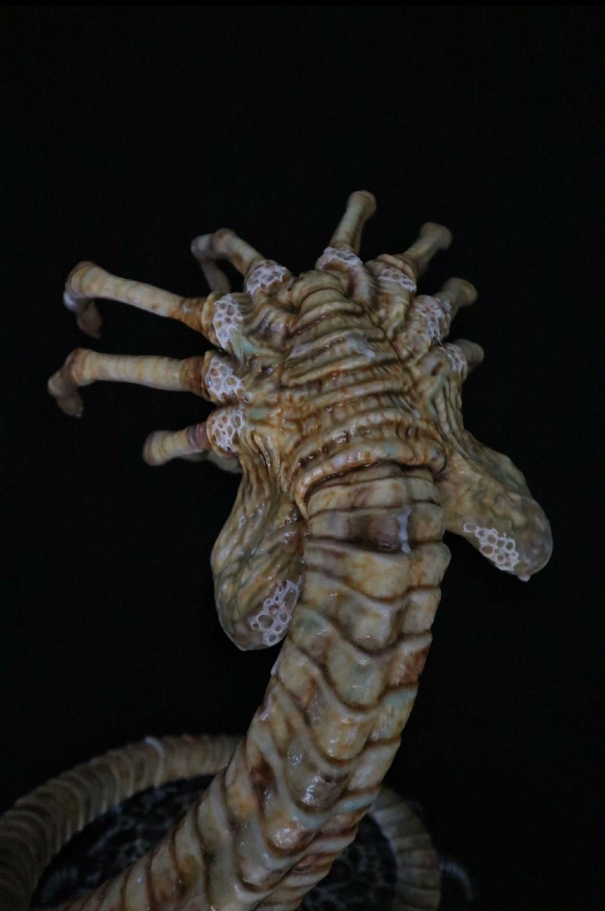 フェイスハガー 1:1スケールモデル像、透明PU素材、#プレデター