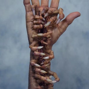 May include: A prosthetic arm with a gruesome design. The arm is brown with a series of sharp, white claws protruding from the flesh. The arm is detailed with stitches and a metallic base.