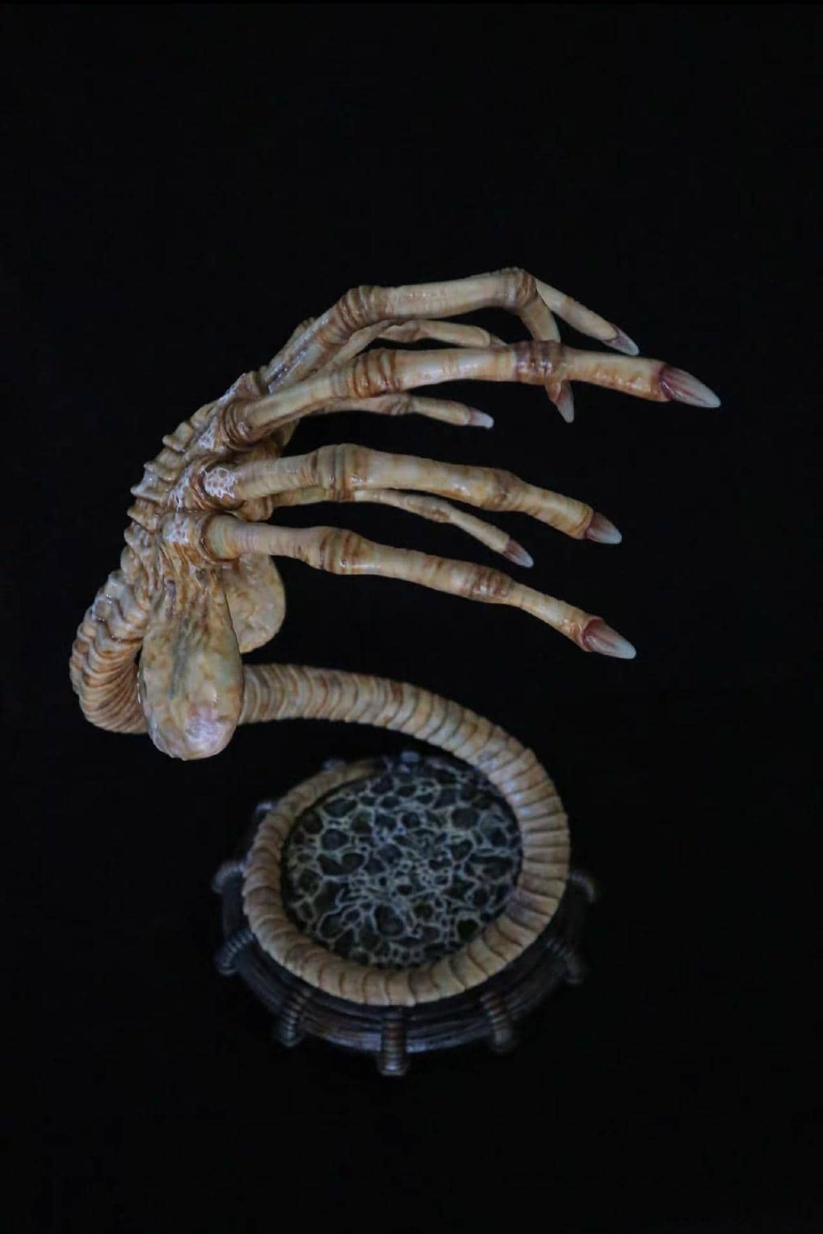 Facehugger 1:1 Scale Model Statue, Transparent PU Material