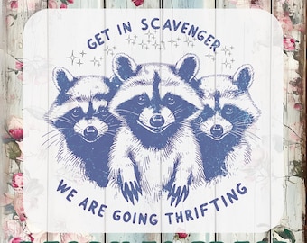 Get In Scavenger We Are Going Thrifting DTF Transfer, Funny Raccoon Ready To Press