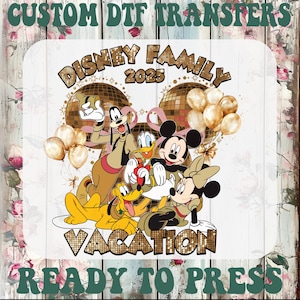 2025 Family Trip DTF Iron On Transfer: Mouse & Friends Disneyworld