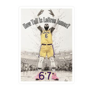LeBron James Height Vinyl Decals, How Tall is LebRon James?, 6'7", Sports Wall Art, Water Bottle Decal, Home Decor, Basketball Stickers