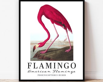 Audubon Flamingo Wall Art Print Exhibition Poster, hot pink colorful decor for bird lover