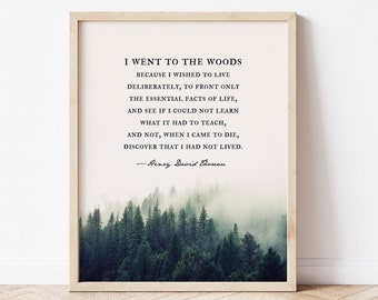 Thoreau quote wall art print Misty forest pine tree art Walden quote nature lover gift Henry David Thoreau I went to the woods because quote