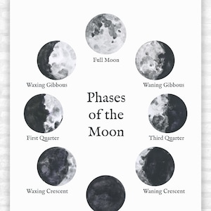 Moon Phases Wall Art Print Phases of the Moon Poster Print Lunar Phases classroom decor science wall art homeschool print moon cycle lunar image 2