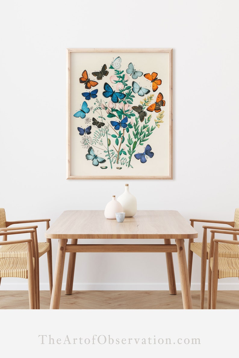 Boho Butterfly wall art print Scandinavian art poster Butterfly entomology drawing butterflies illustration butterfly picture happy wall art image 8