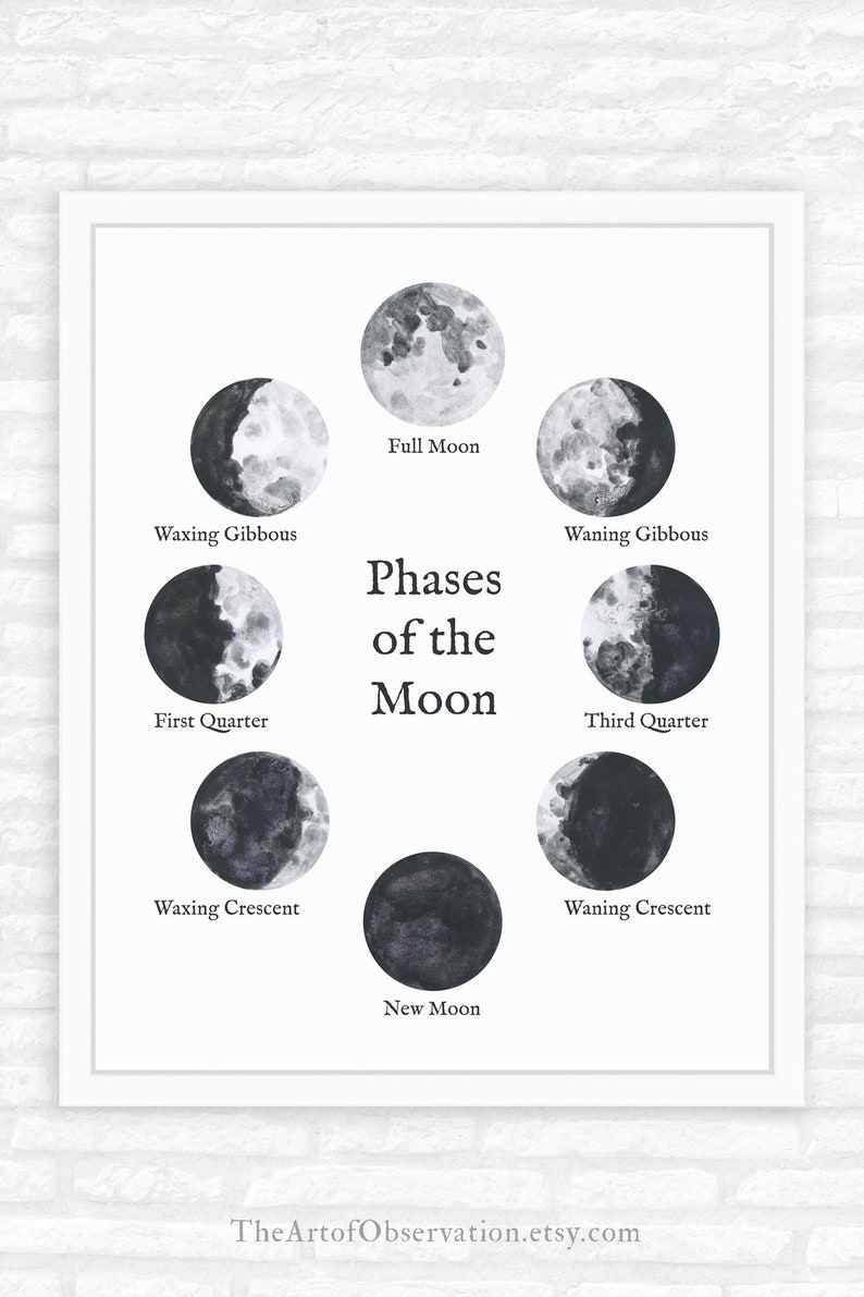 Moon Phases Wall Art Print Phases of the Moon Poster Print Lunar Phases classroom decor science wall art homeschool print moon cycle lunar image 9