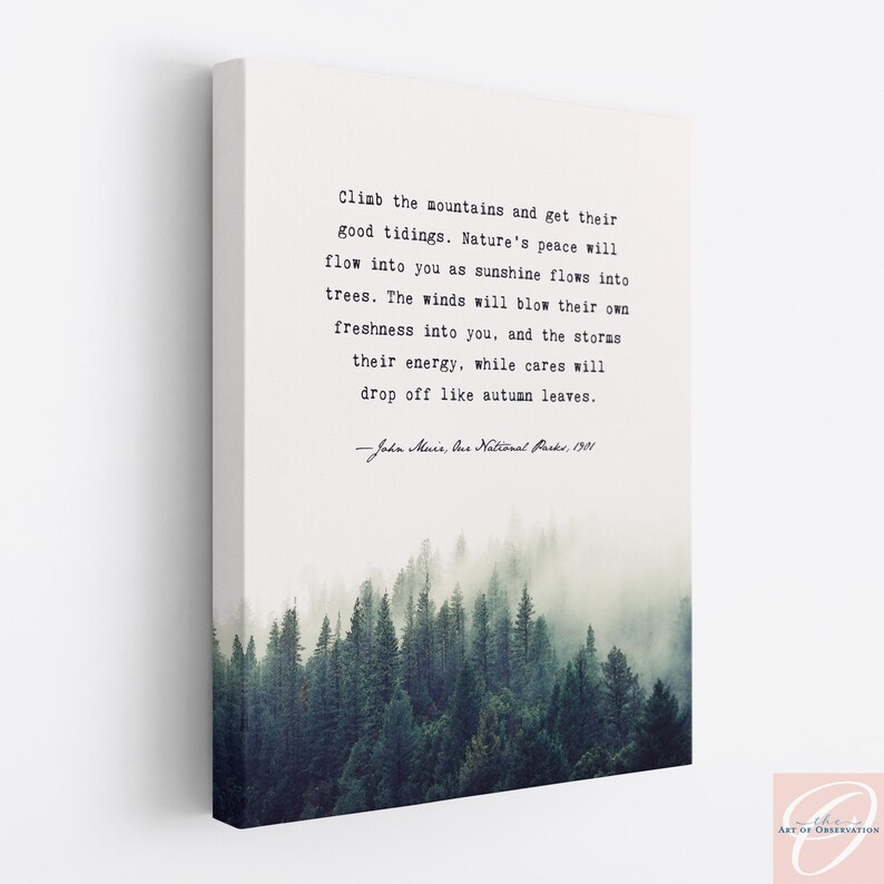 John Muir Quote Print, Foggy Forest Art, Nature Lover Gift, Climb the mountains Stretched Canvas