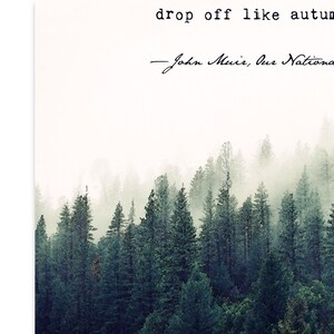 May include: A quote by John Muir, "Our National Parks are the best medicine.  They are the strongest antidote to the poison of modern life."  The quote is displayed on a white background with a misty forest scene below.