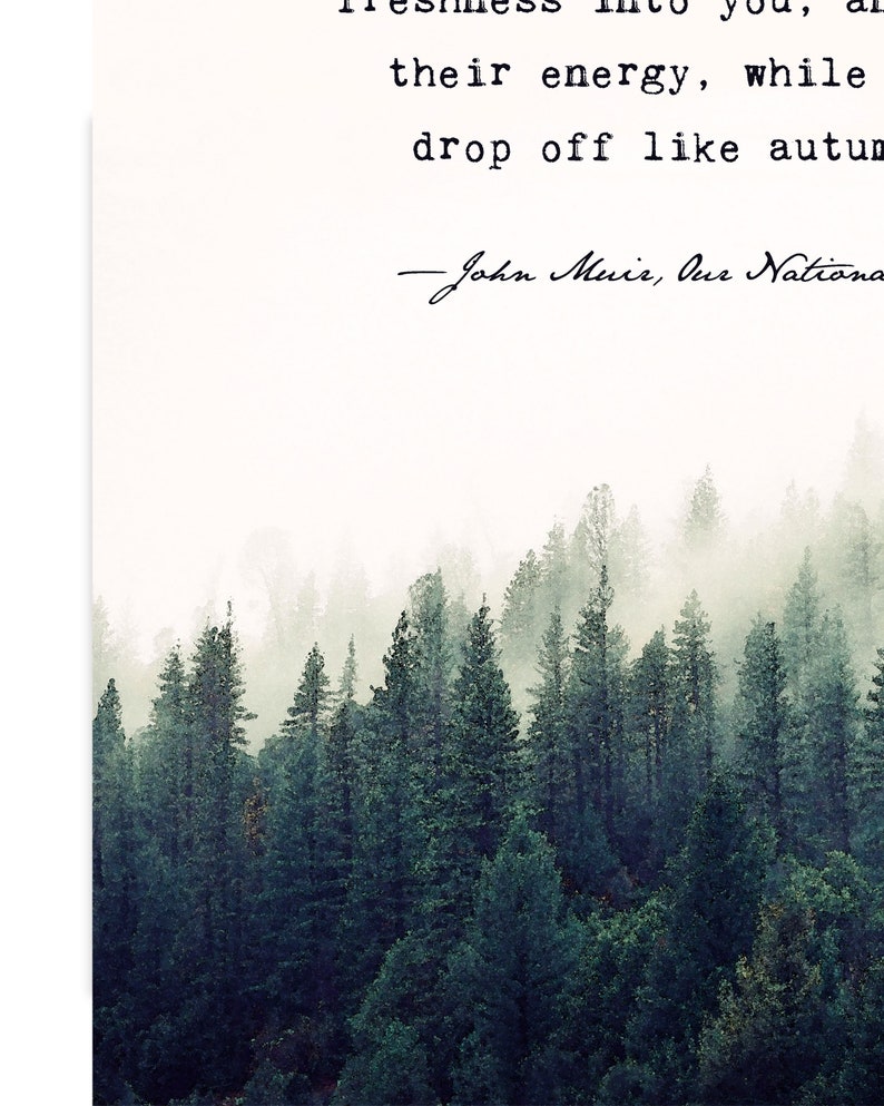 May include: A quote by John Muir, "Our National Parks are the best medicine.  They are the strongest antidote to the poison of modern life."  The quote is displayed on a white background with a misty forest scene below.