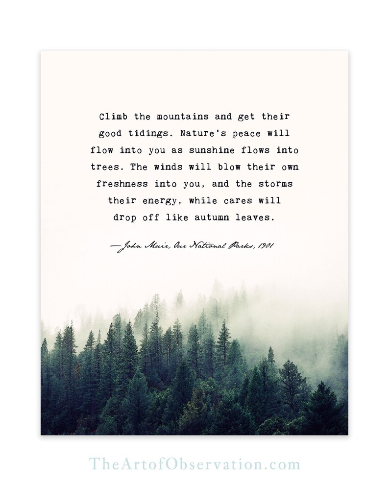May include: A quote by John Muir about the peace found in nature, with a misty forest scene in the background.