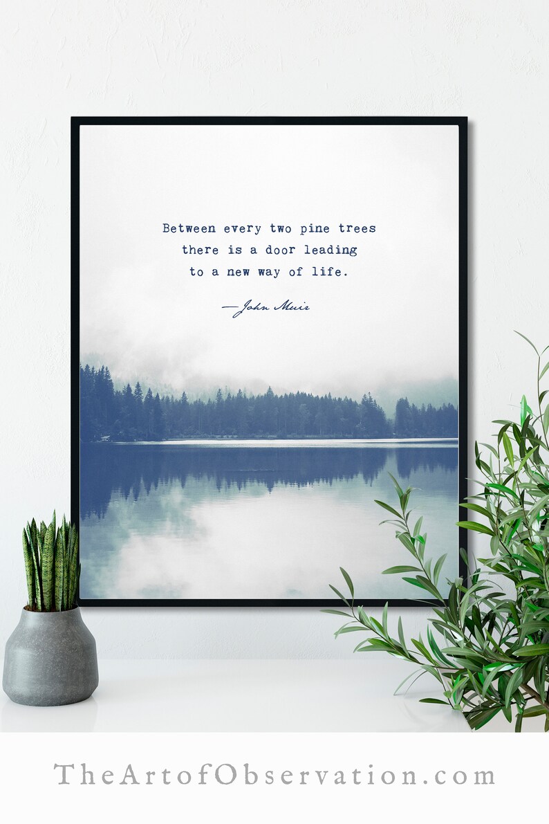 John Muir Quote Wall Art Print Between Every Two Pine Trees Etsy