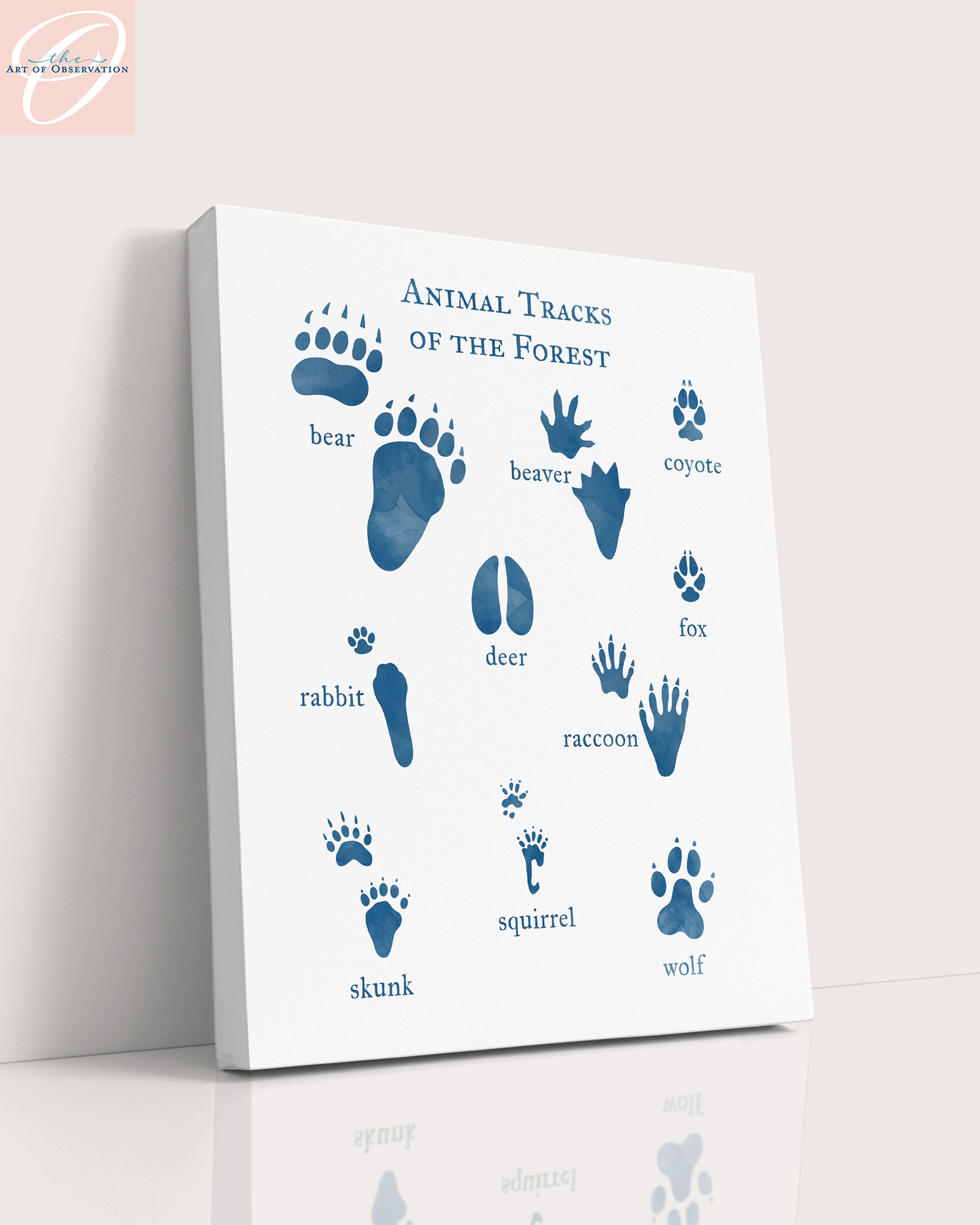 ANIMALS★Animal Tracks UK Blue Columbia M ANIMALS☆Animal Tracks UK Blue Columbia M