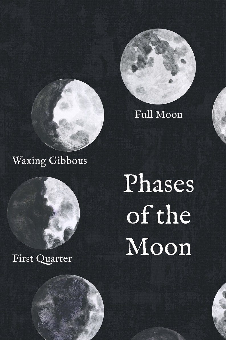 Moon Phases Wall Art Print Phases of the Moon Poster Print Lunar Phases classroom decor science wall art homeschool print moon cycle lunar image 3