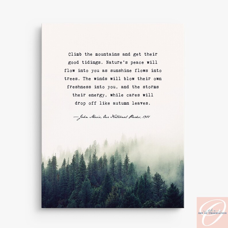 John Muir Quote Print, Foggy Forest Art, Nature Lover Gift, Climb the mountains image 2
