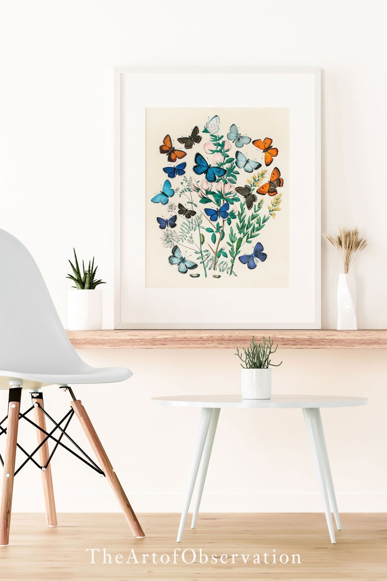 Boho Butterfly wall art print Scandinavian art poster Butterfly entomology drawing butterflies illustration butterfly picture happy wall art image 5