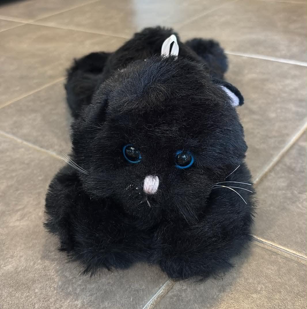 Vintage 1980 Gund Plush Black Cat Rattle Stuffed Animal 14