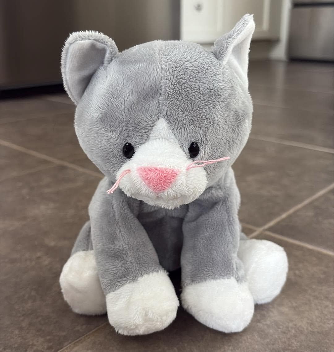 Ty Pluffies パースリー グレー 猫 プラスチックアイ 子猫 8インチ