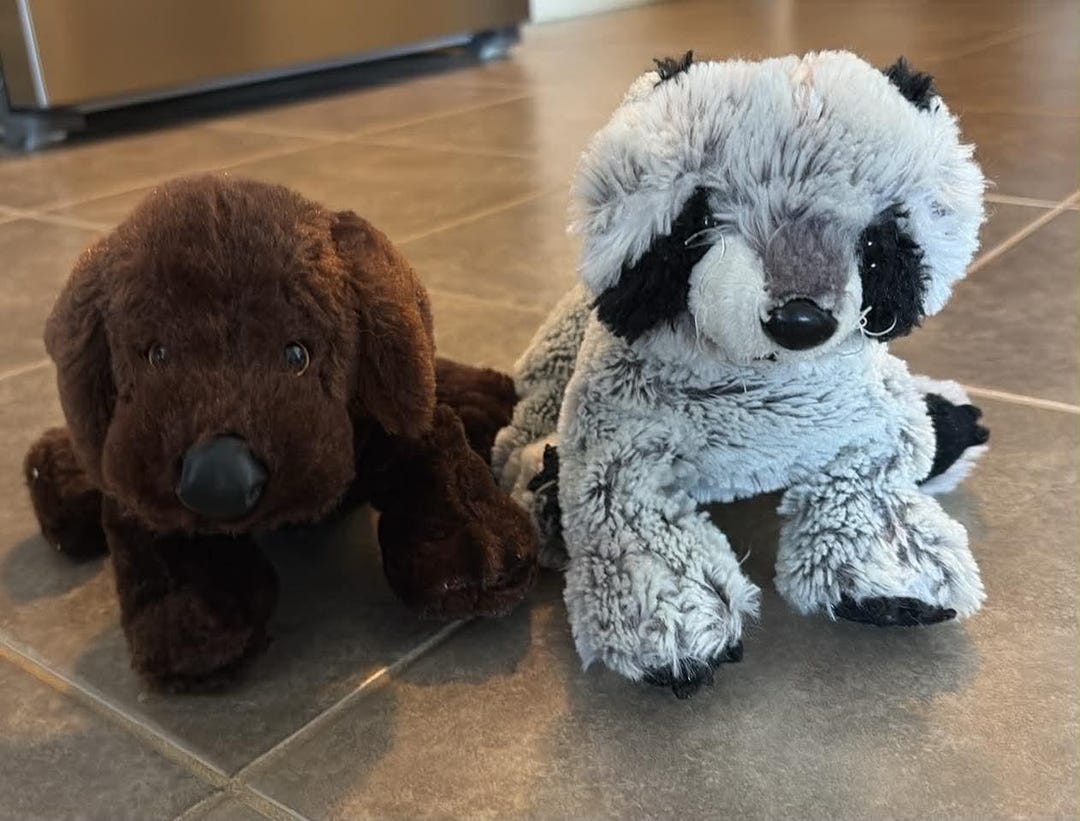 Ganz Webkinz CHOCOLATE LAB DOG and Racoon Plush Stuffed Animal No