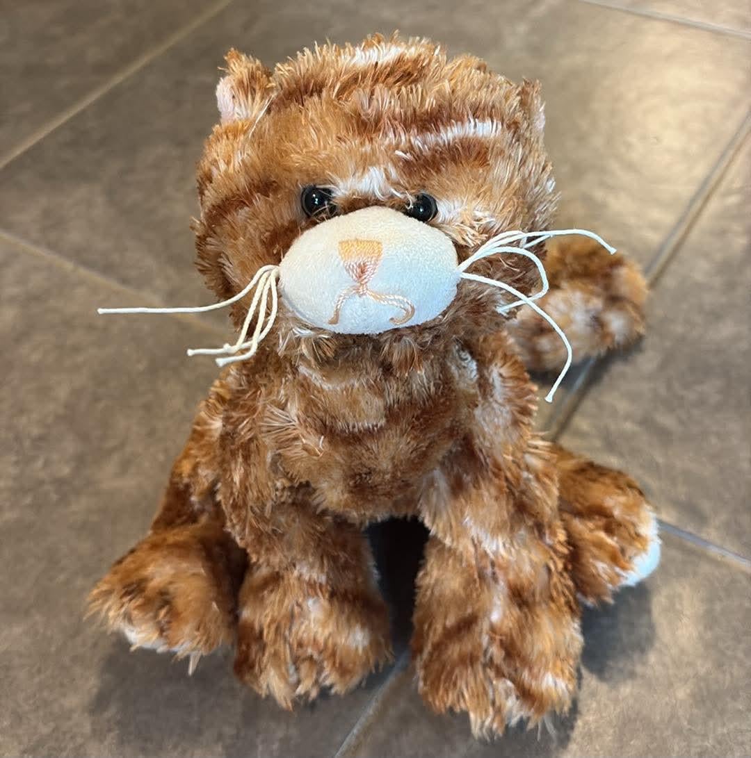 Ganz Webkinz Ginger Cat Kitten Plush HM431 Stuffed Animal No Code