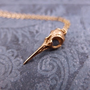 Gold Hummingbird Skull Necklace - Bronze Hummingbird Skull Charm on a Delicate 14kt Gold Filled Cable Chain or Charm Only